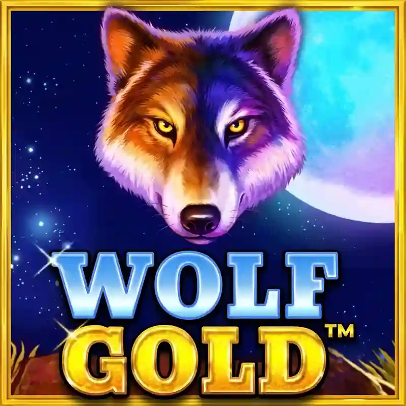 Wolf Gold Slot Game 1xbet Mobile